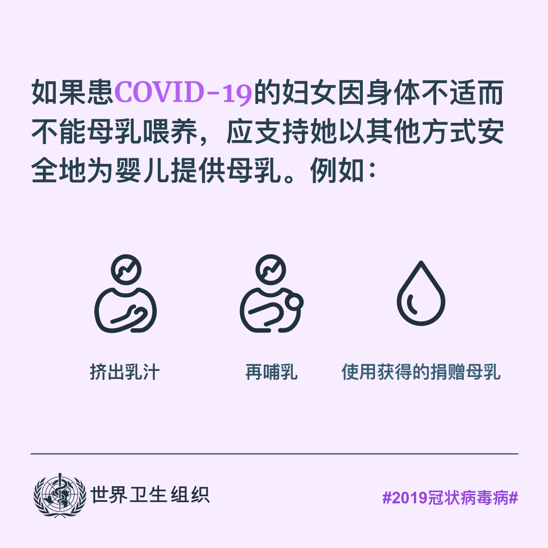 微信图片_20200807113817.png