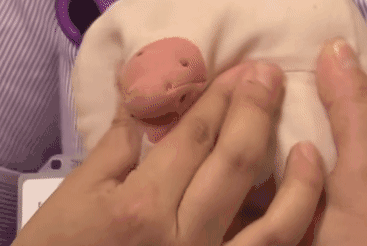 1.gif