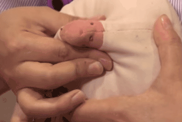 2.gif