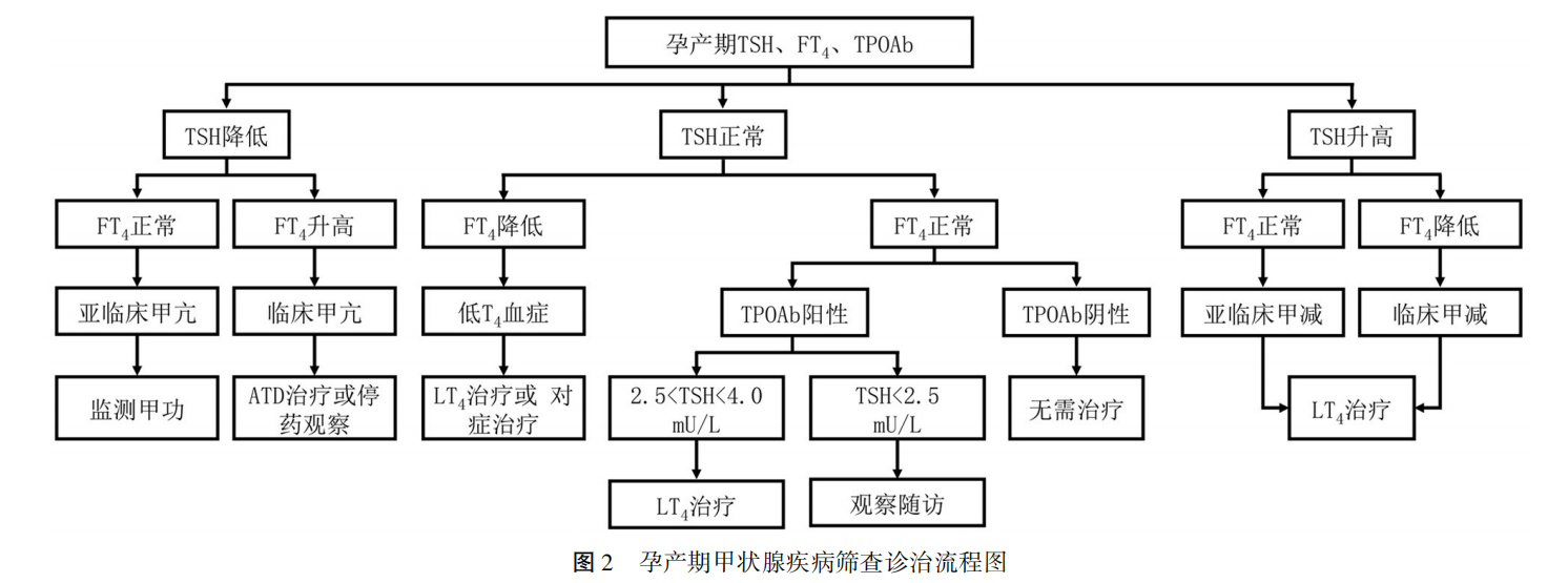 配图4.png