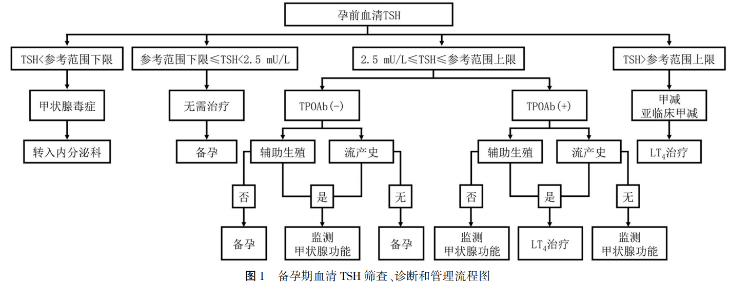 配图3.png